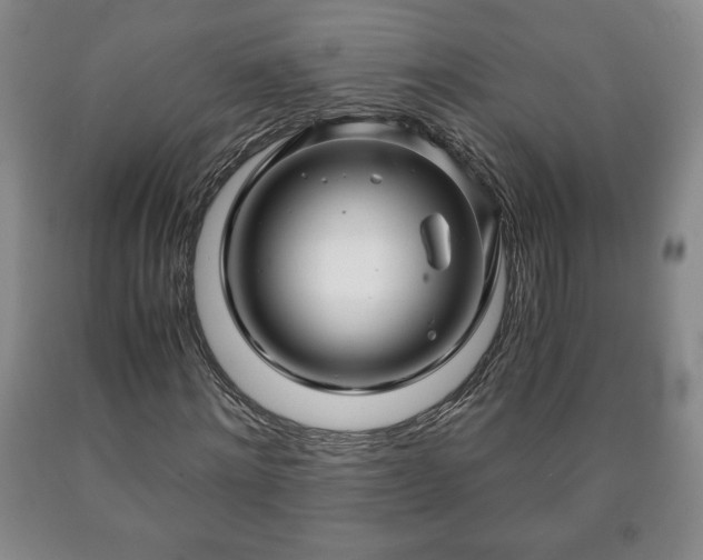 X0000090600868200707241041