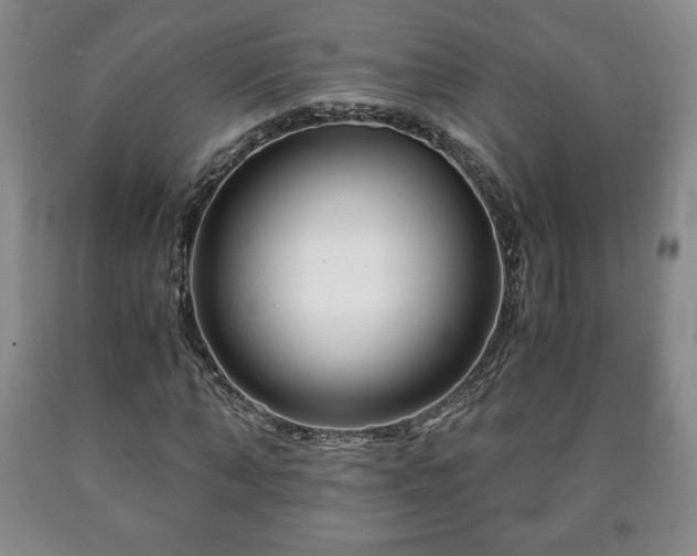 X0000090600870200707241041