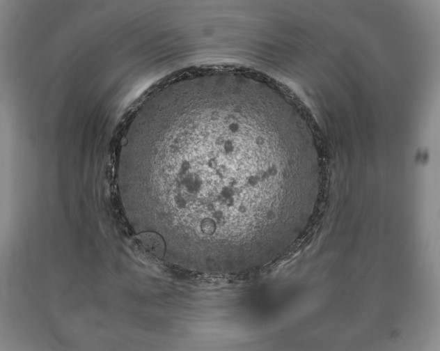 X0000090600871200707241041
