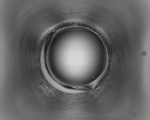 X0000090600872200707241041