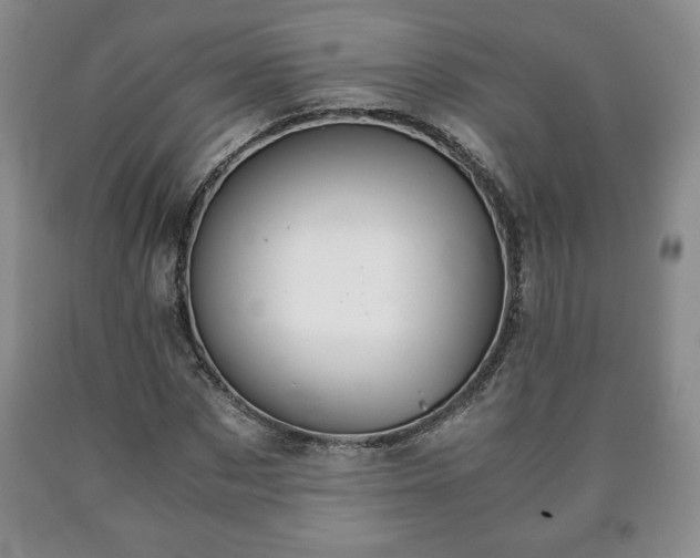 X0000090600873200707241041