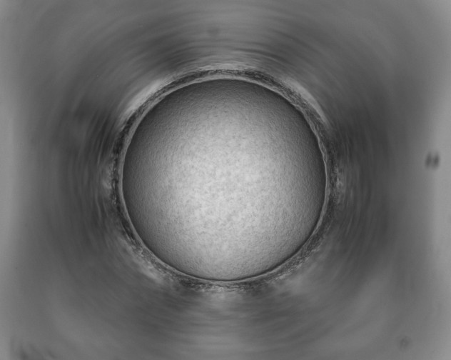 X0000090600874200707241041