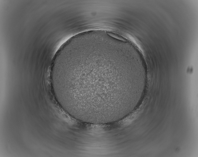 X0000090600875200707241041
