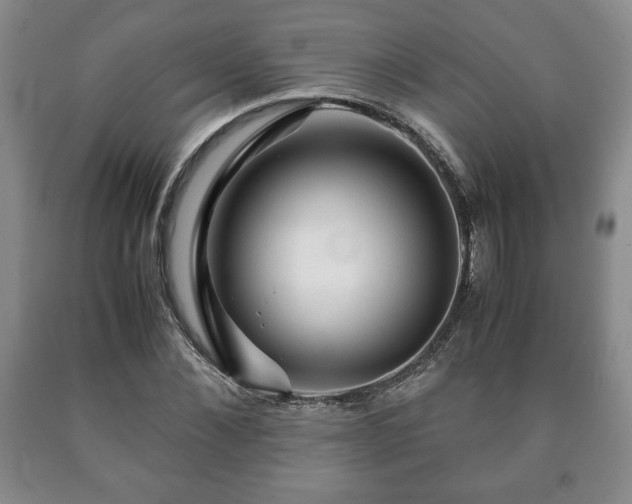 X0000090600876200707241041