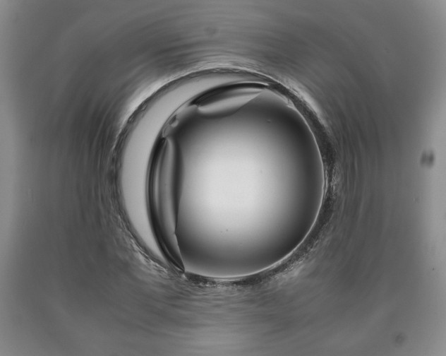 X0000090600877200707241041