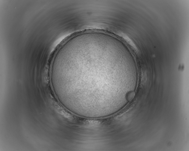 X0000090600878200707241041