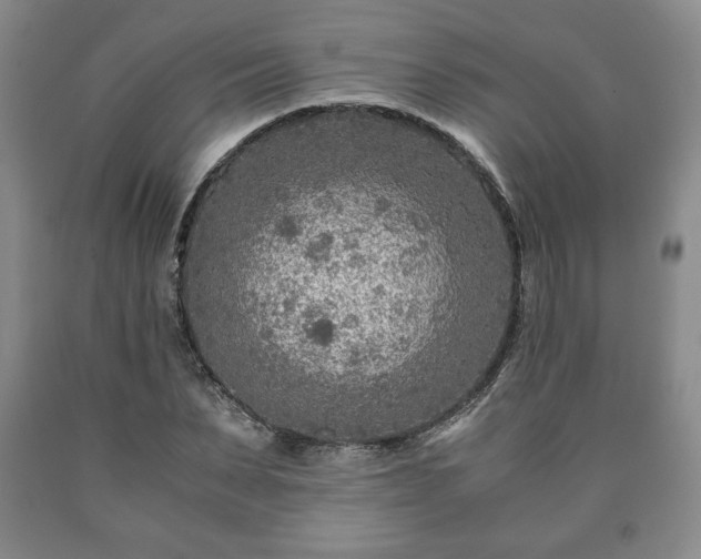 X0000090600879200707241041