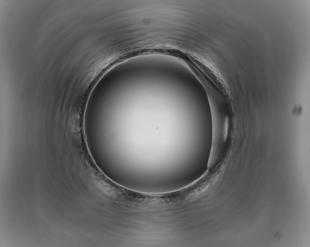 X0000090600881200707241041