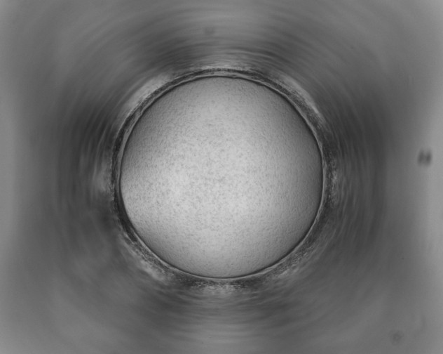 X0000090600882200707241041