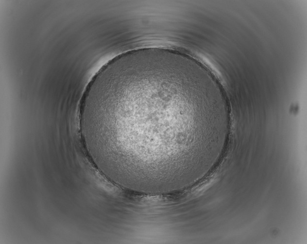 X0000090600883200707241041