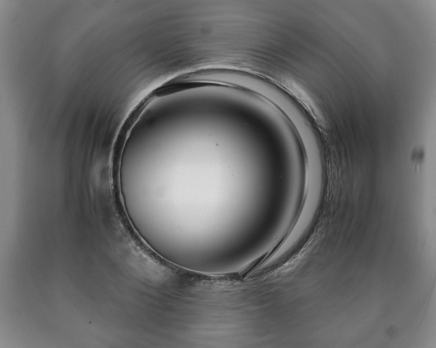 X0000090600884200707241041