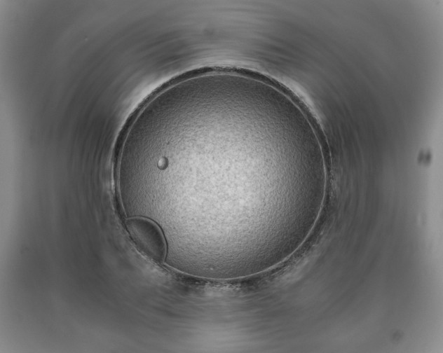 X0000090600887200707241041
