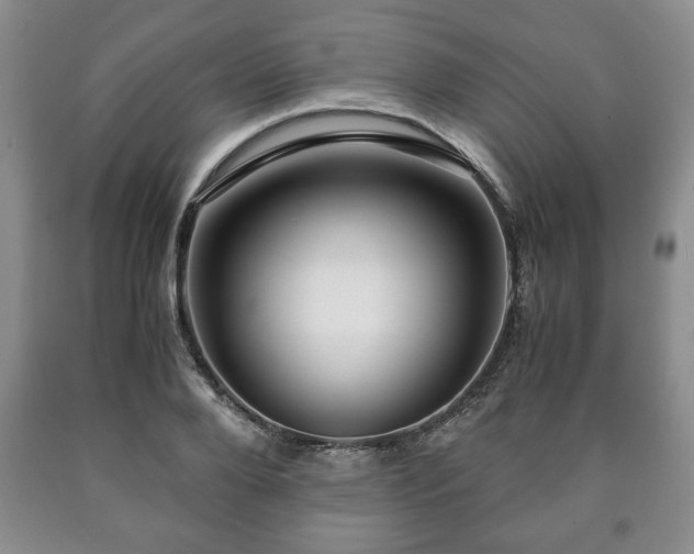 X0000090600888200707241041