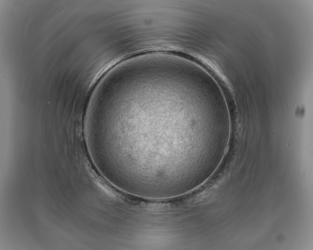 X0000090600889200707241041
