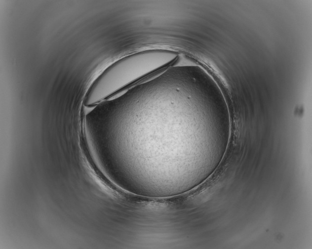 X0000090600890200707241041