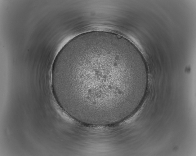 X0000090600891200707241041