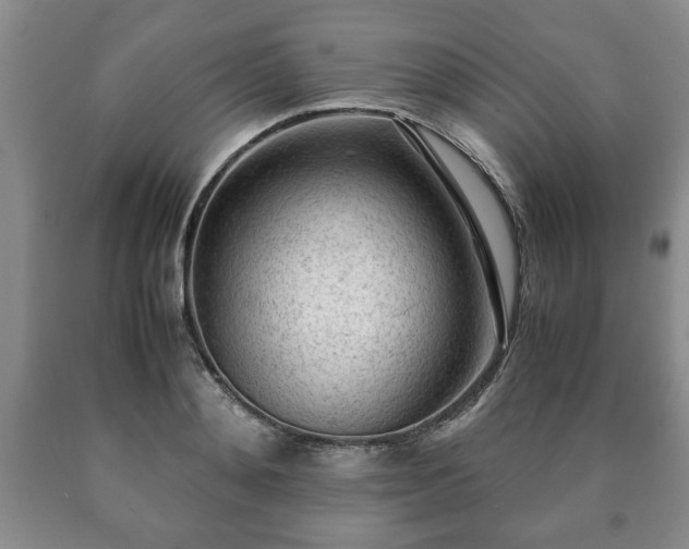 X0000090600892200707241041