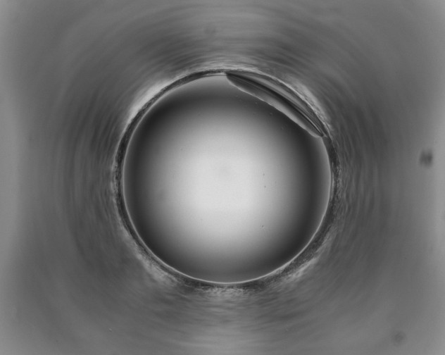X0000090600893200707241041