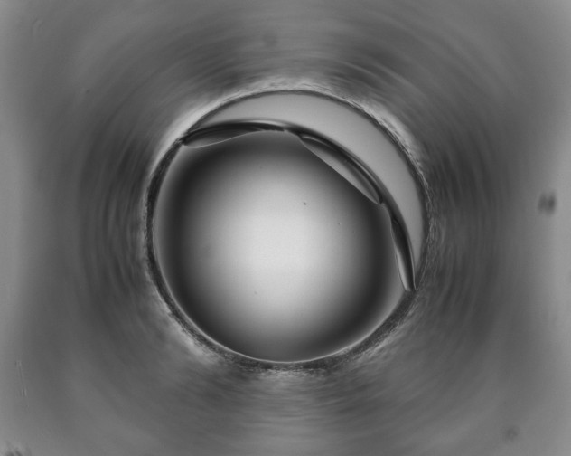 X0000090600894200707241041