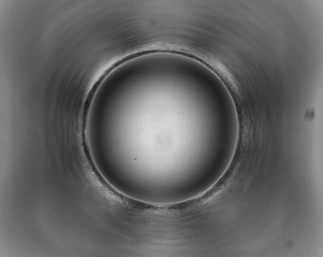 X0000090600896200707241040