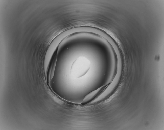 X0000090600897200707241040