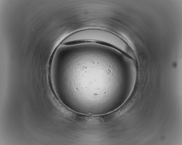 X0000090600899200707241040