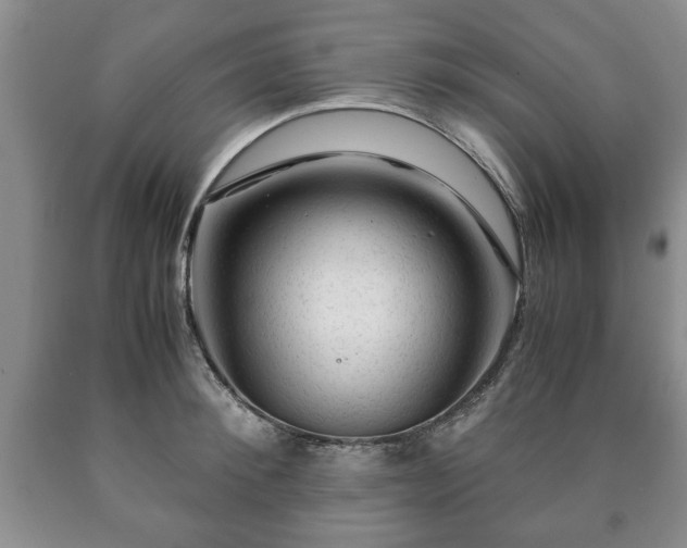 X0000090600900200707241040