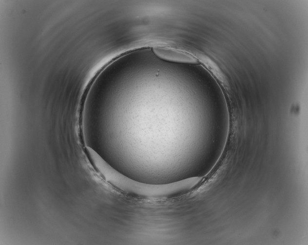 X0000090600904200707241040