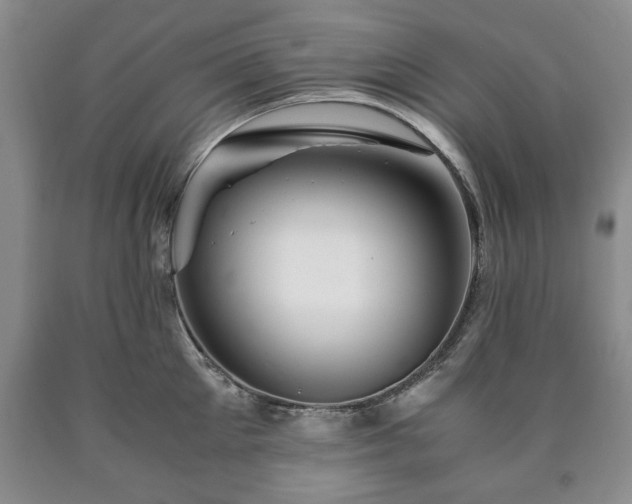 X0000090600905200707241040
