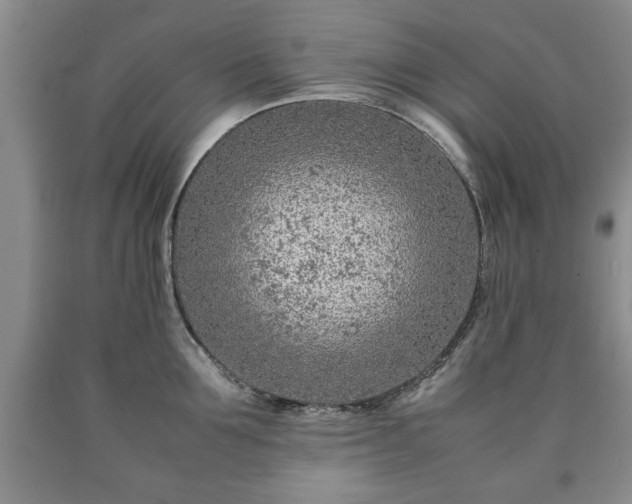 X0000090600907200707241040
