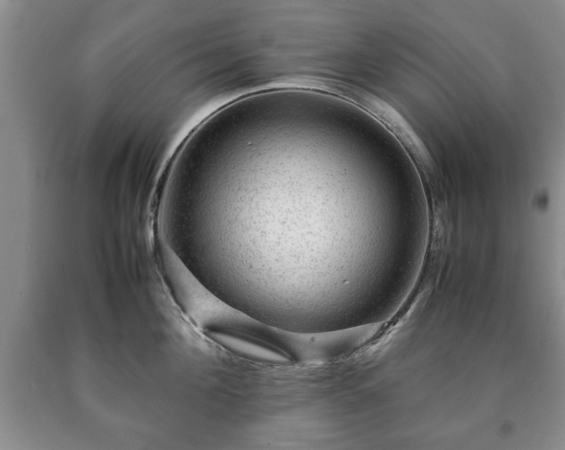 X0000090600908200707241040