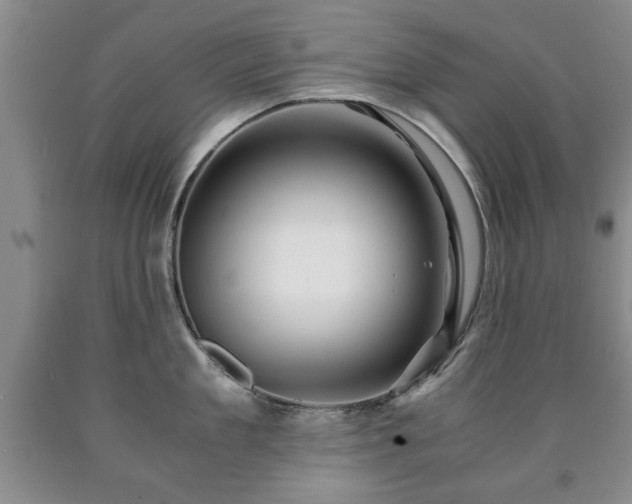 X0000090600909200707241040