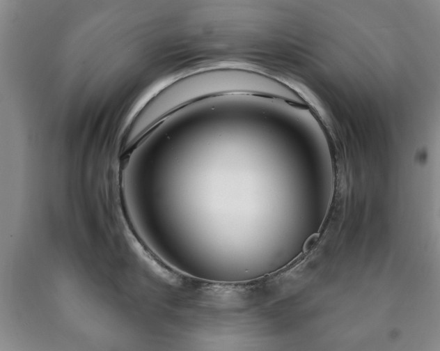 X0000090600910200707241040
