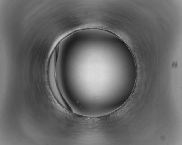 X0000090600912200707241040