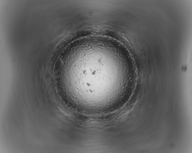 X0000090600913200707241040