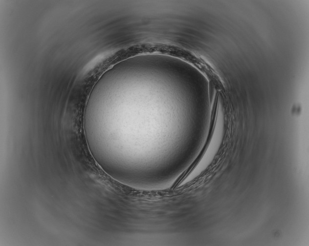 X0000090600919200707241040