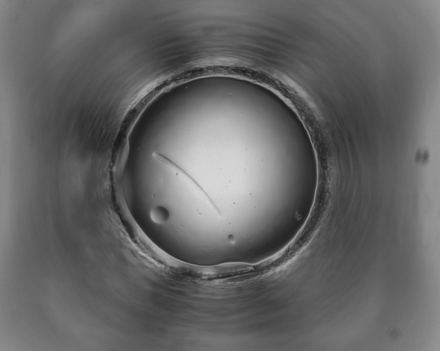 X0000090600921200707241040
