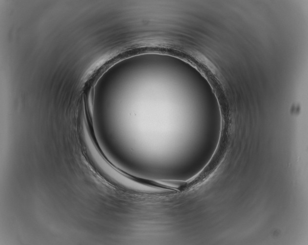 X0000090600922200707241040