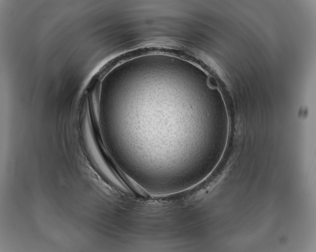 X0000090600923200707241040