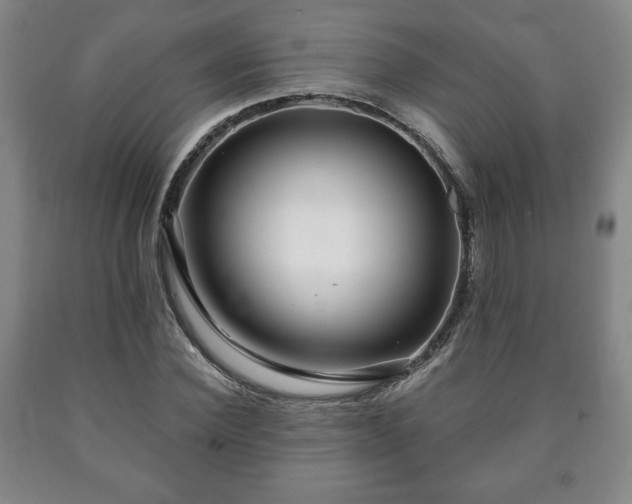 X0000090600924200707241040