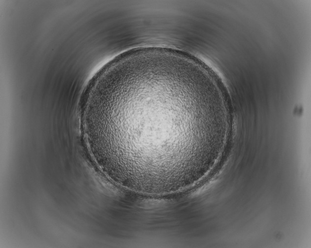 X0000090600925200707241040