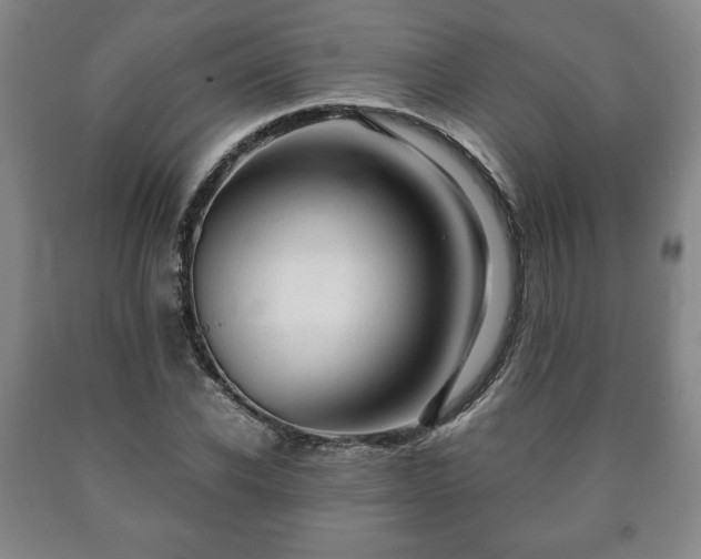 X0000090600926200707241040