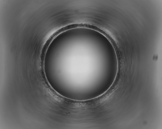 X0000090600927200707241040