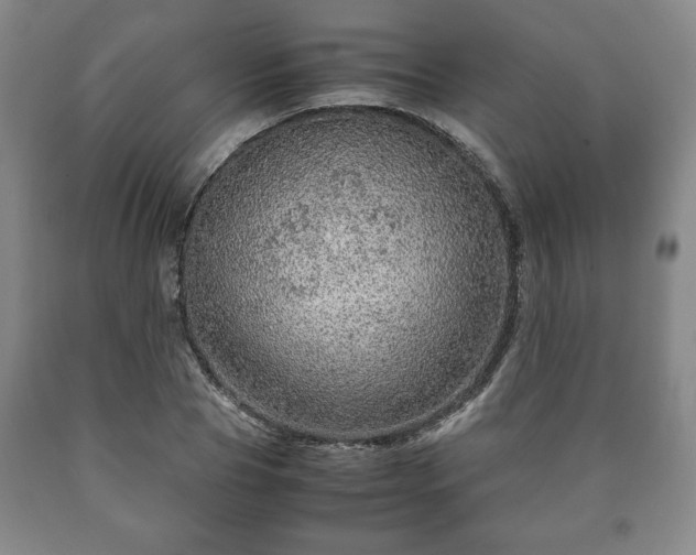 X0000090600929200707241040