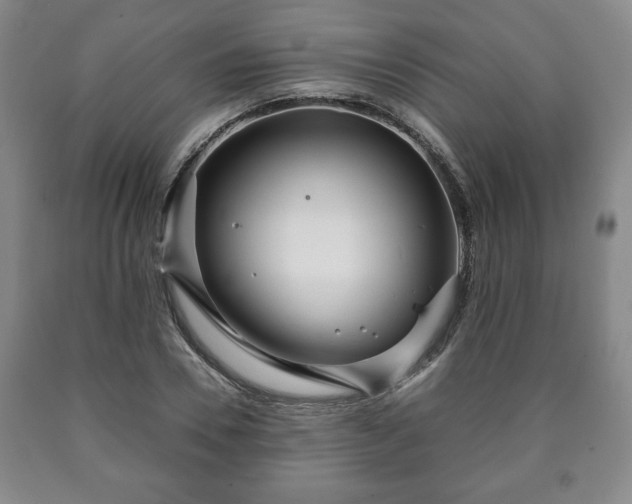 X0000090600930200707241040