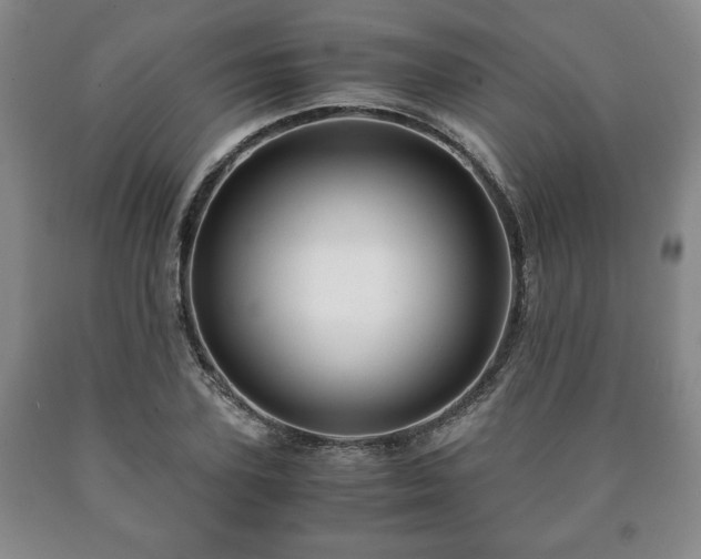 X0000090600931200707241040