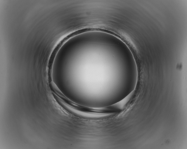 X0000090600932200707241040