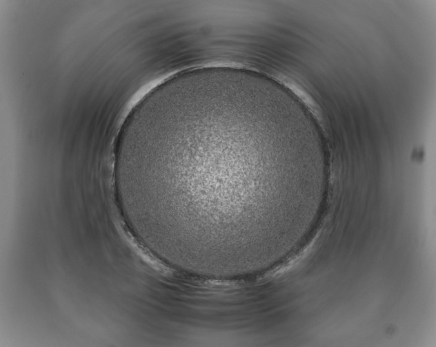 X0000090600933200707241040
