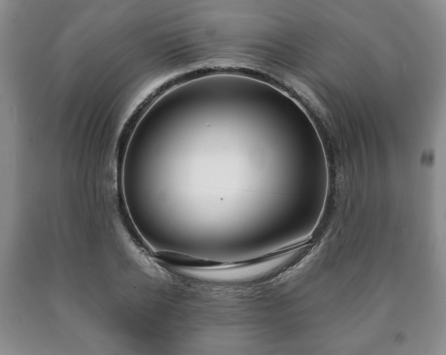 X0000090600934200707241040
