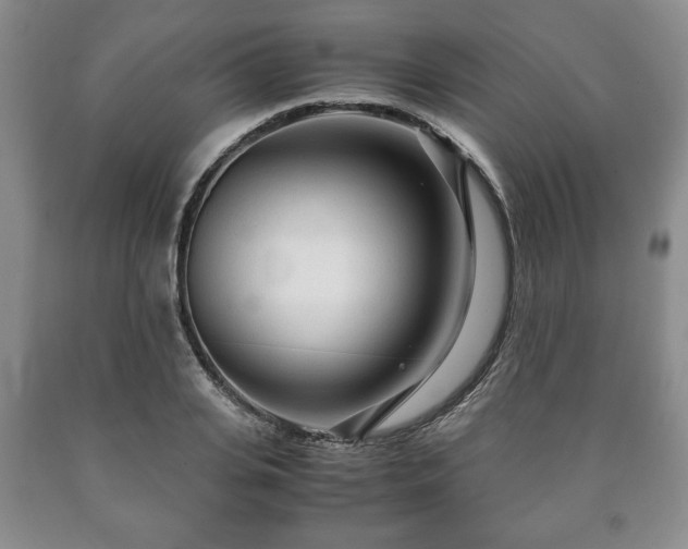 X0000090600935200707241040